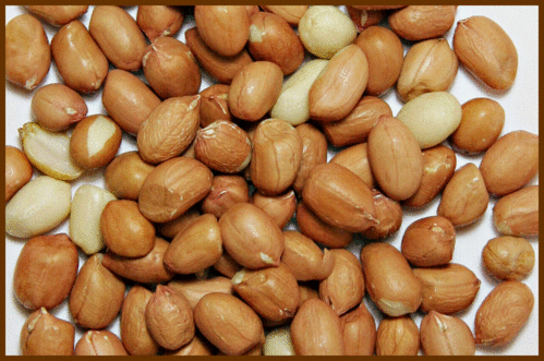 Peanuts, Raw Spanish