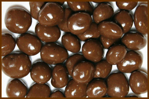 Sugar Free Chocolate Peanuts