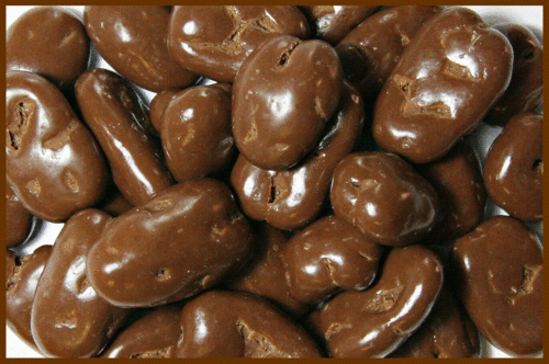 Sugar Free Chocolate Pecans