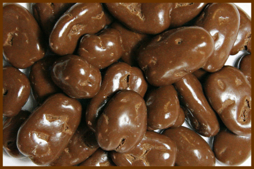 Milk Chocolate Pecans